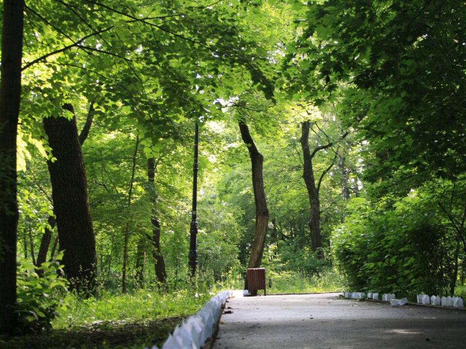 Alee în Parcul Copou din Iași Picnic și grătare în Iași: zone potrivite și ce verifici înainte