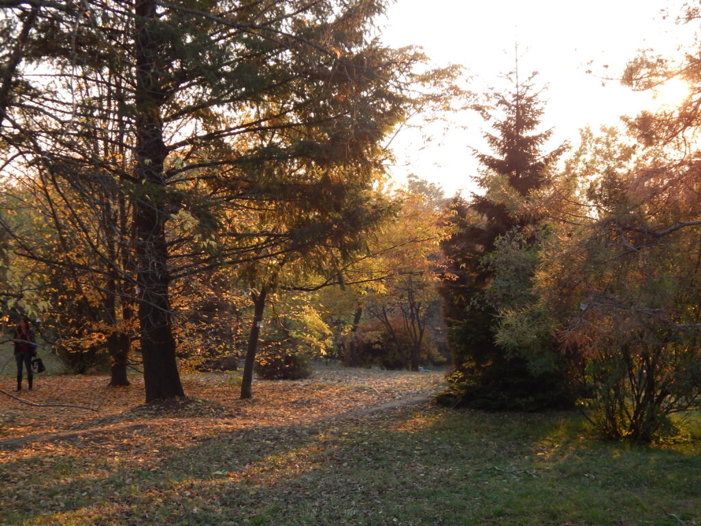 Vedere din Parcul Copou, Iași Vedere din Parcul Copou, Iași